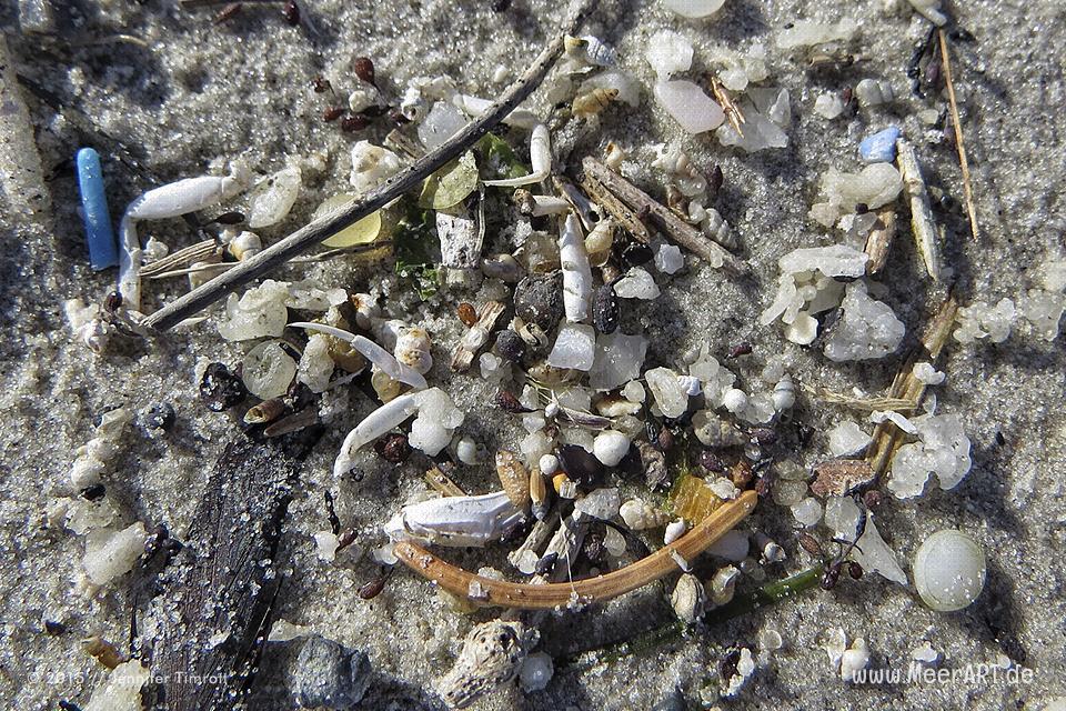 Strandgut aus Plastik