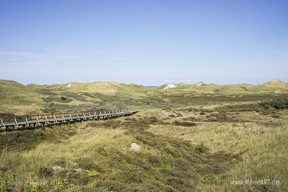 Impressionen von einem fantastischen Wochenende auf Amrum // Foto: MeerART