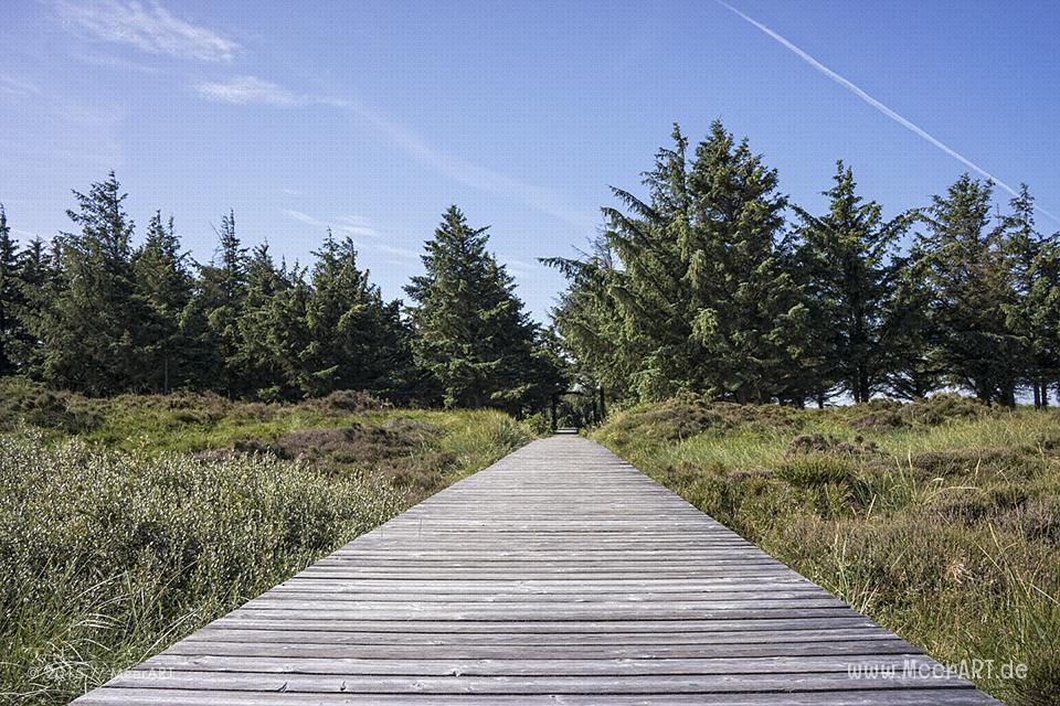 Impressionen von einem fantastischen Wochenende auf Amrum // Foto: MeerART