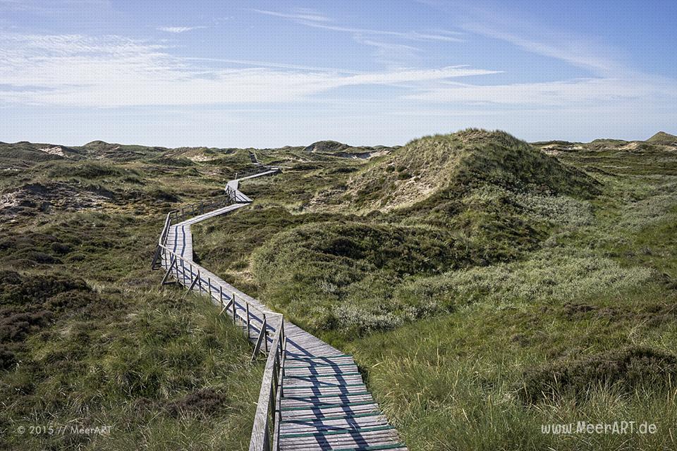 Impressionen von einem fantastischen Wochenende auf Amrum // Foto: MeerART