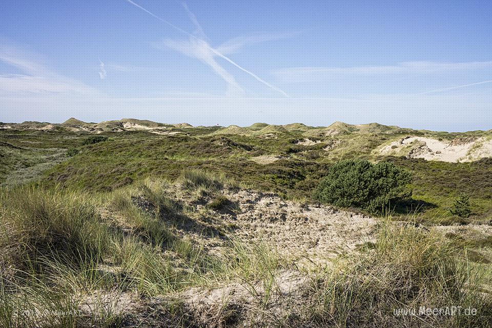 Impressionen von einem fantastischen Wochenende auf Amrum // Foto: MeerART