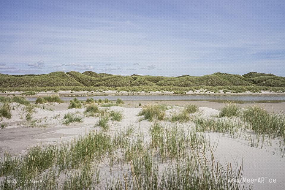 Impressionen von einem fantastischen Wochenende auf Amrum // Foto: MeerART