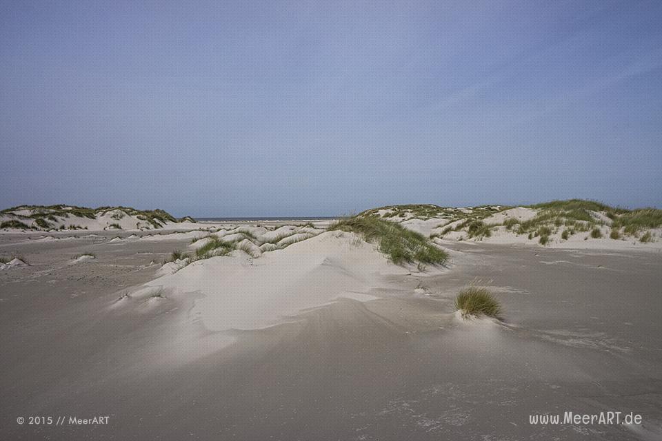 Impressionen von einem fantastischen Wochenende auf Amrum // Foto: MeerART