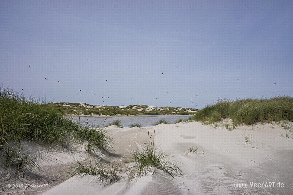Impressionen von einem fantastischen Wochenende auf Amrum // Foto: MeerART