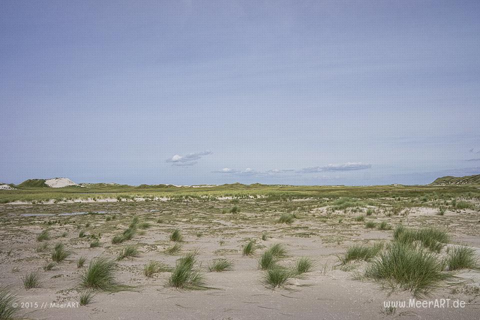 Impressionen von einem fantastischen Wochenende auf Amrum // Foto: MeerART