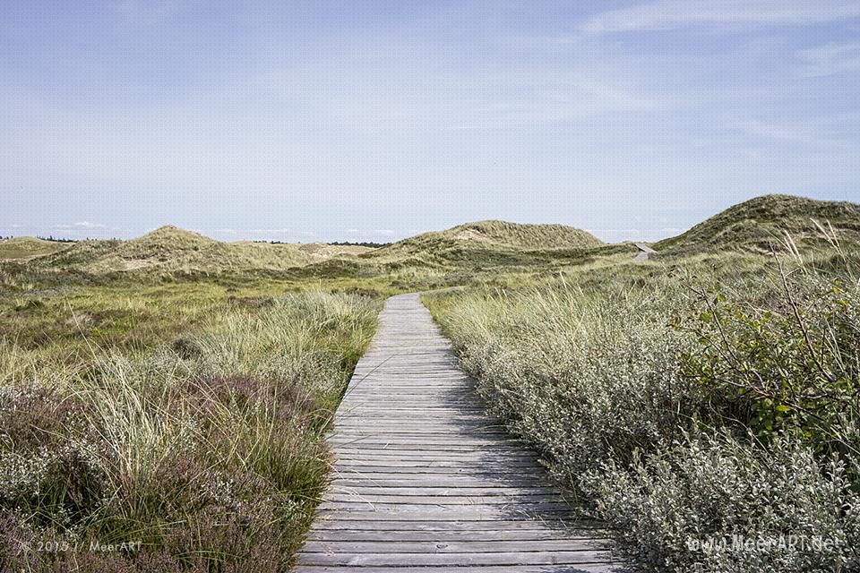 Impressionen von einem fantastischen Wochenende auf Amrum // Foto: MeerART