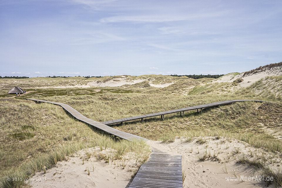 Impressionen von einem fantastischen Wochenende auf Amrum // Foto: MeerART