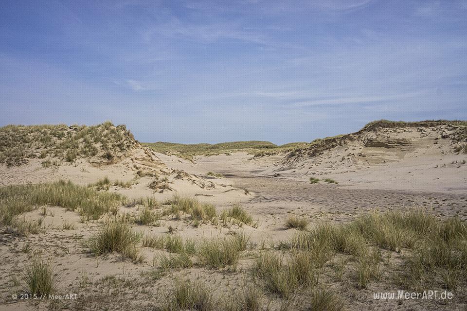 Impressionen von einem fantastischen Wochenende auf Amrum // Foto: MeerART