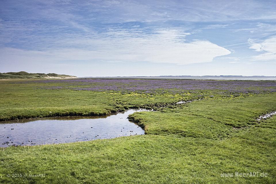 Impressionen von einem fantastischen Wochenende auf Amrum // Foto: MeerART