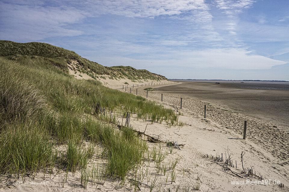 Impressionen von einem fantastischen Wochenende auf Amrum // Foto: MeerART