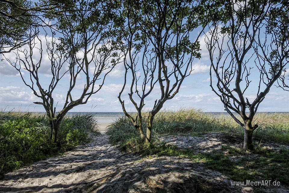 Impressionen von der idyllischen Insel Poel // Foto: MeerART