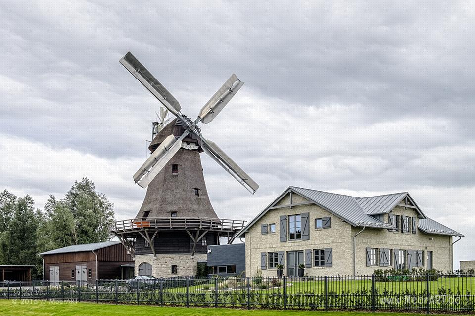Die Mühle Nicola an der Schlei in Schleswig // Foto: MeerART