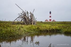 Seminarwochenende der Schutzstation Wattenmeer am Leuchtturm Westerhever // Foto: MeerART