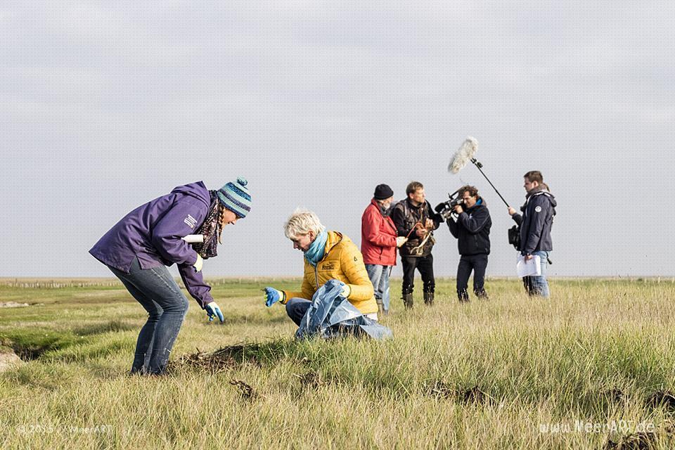 Watt'n Müll - Sammelaktion Westerhever zum 30. Geburtstag vom Nationalpark Wattenmeer // Foto: MeerART