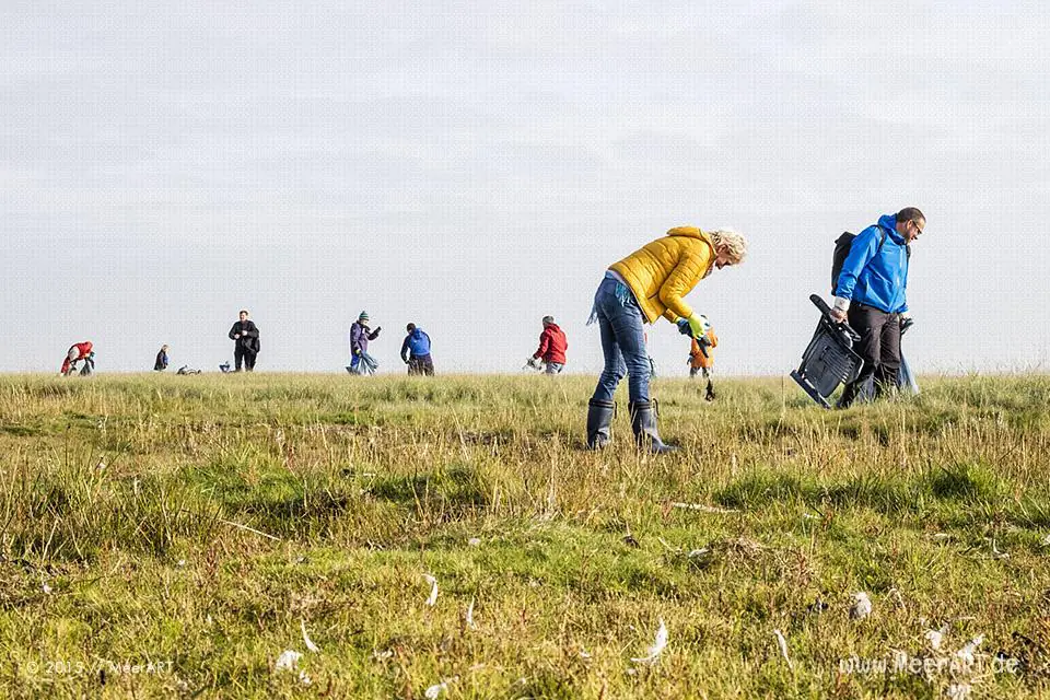 Watt'n Müll - Sammelaktion Westerhever zum 30. Geburtstag vom Nationalpark Wattenmeer // Foto: MeerART