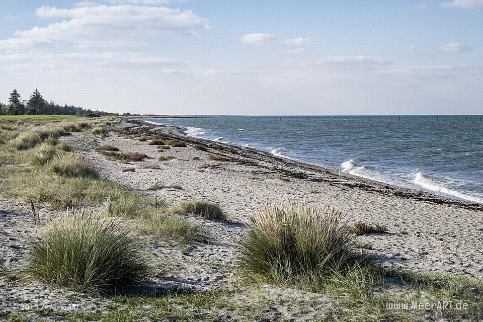 Strandabschnitt auf Fehmarn zwischen Gammendorf und Westermarkelsdorf // Foto: MeerART