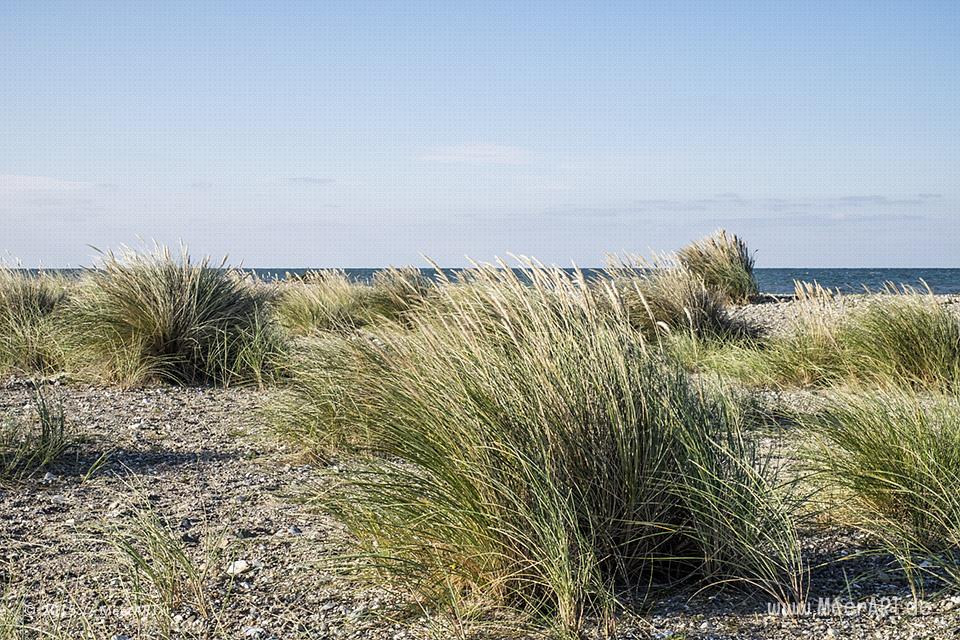 Strandabschnitt auf Fehmarn zwischen Gammendorf und Westermarkelsdorf // Foto: MeerART