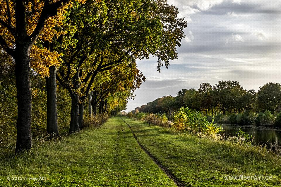 Ein Herbsttag am Kanal in der Naehe der Dueckerschleuse bei Witzeeze // Foto: MeerART / Ralph Kerpa