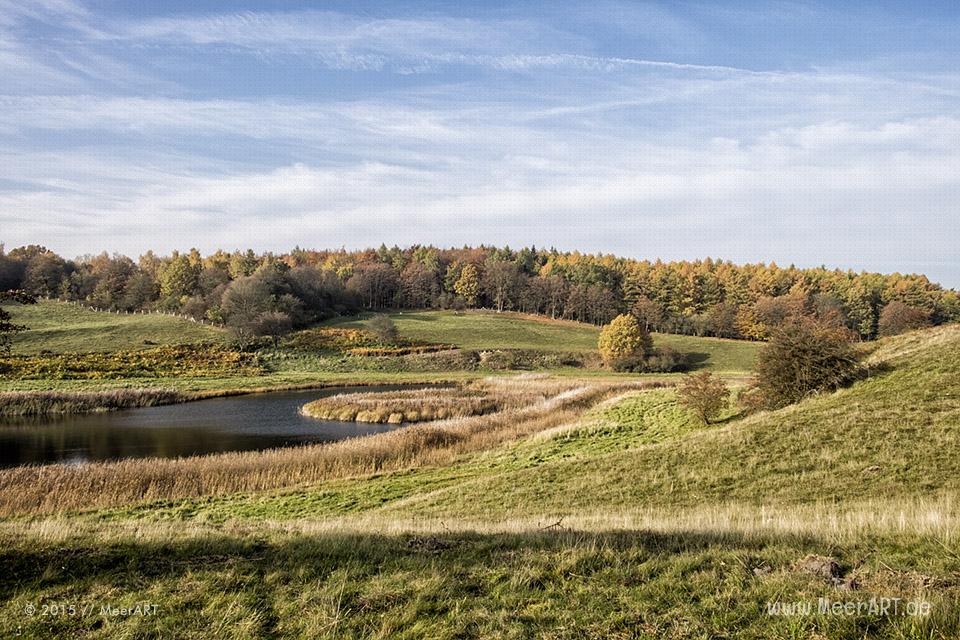 Ein schöner und sonniger Herbsttag am Dummersdorfer Ufer // Foto: MeerART
