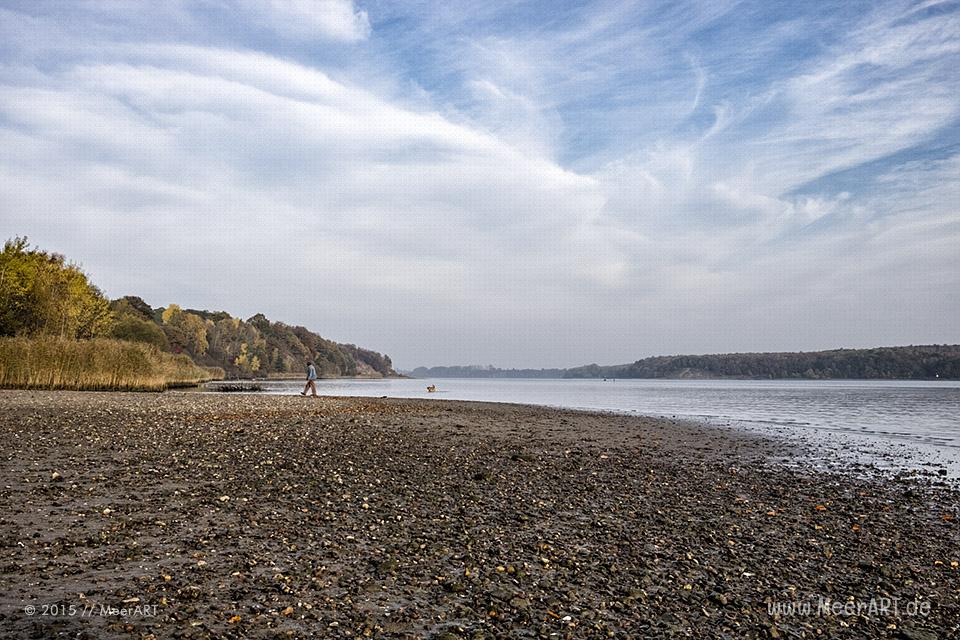 Ein schöner und sonniger Herbsttag am Dummersdorfer Ufer // Foto: MeerART