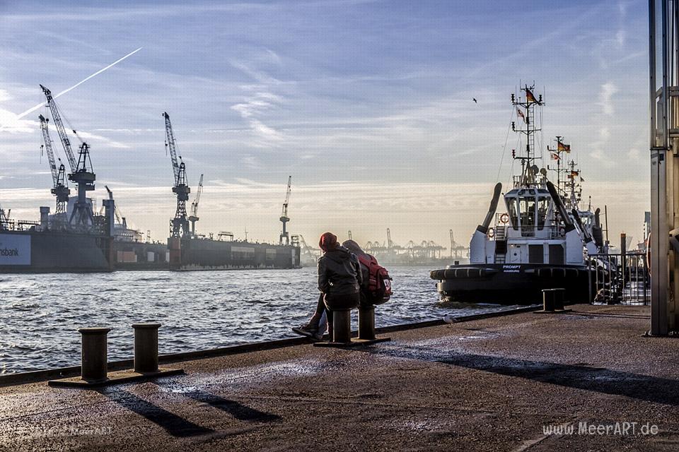 Impressionen aus dem Hamburger Hafen vom Januar 2016 // Foto: MeerART / Ralph Kerpa