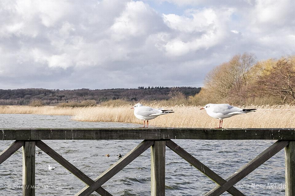 Impressionen aus Binz auf der Ostseeinsel Rügen // Foto: MeerART
