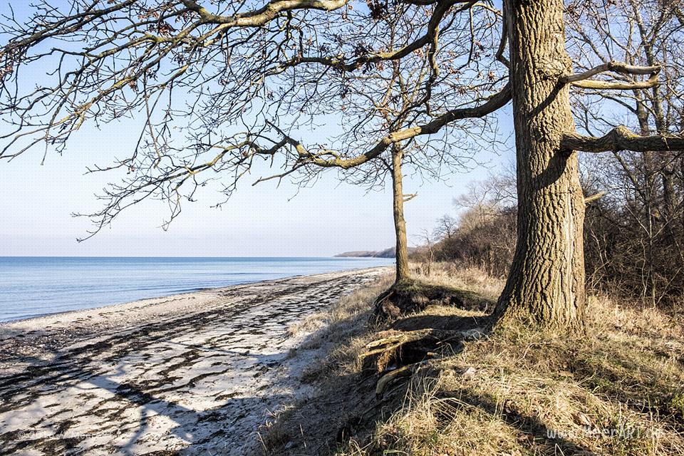 Ein sonniger und kalter Tag am Priwall in Travemünde // Foto: MeerART