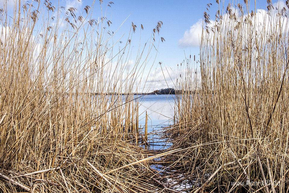 Winterimpressionen aus Haithabu bei Schleswig an der Schlei // Foto: MeerART / Ralph Kerpa