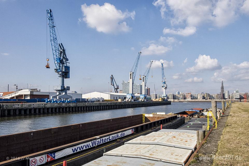Impressionen aus dem ehemaligen Freihafen in Hamburg // Foto: MeerART