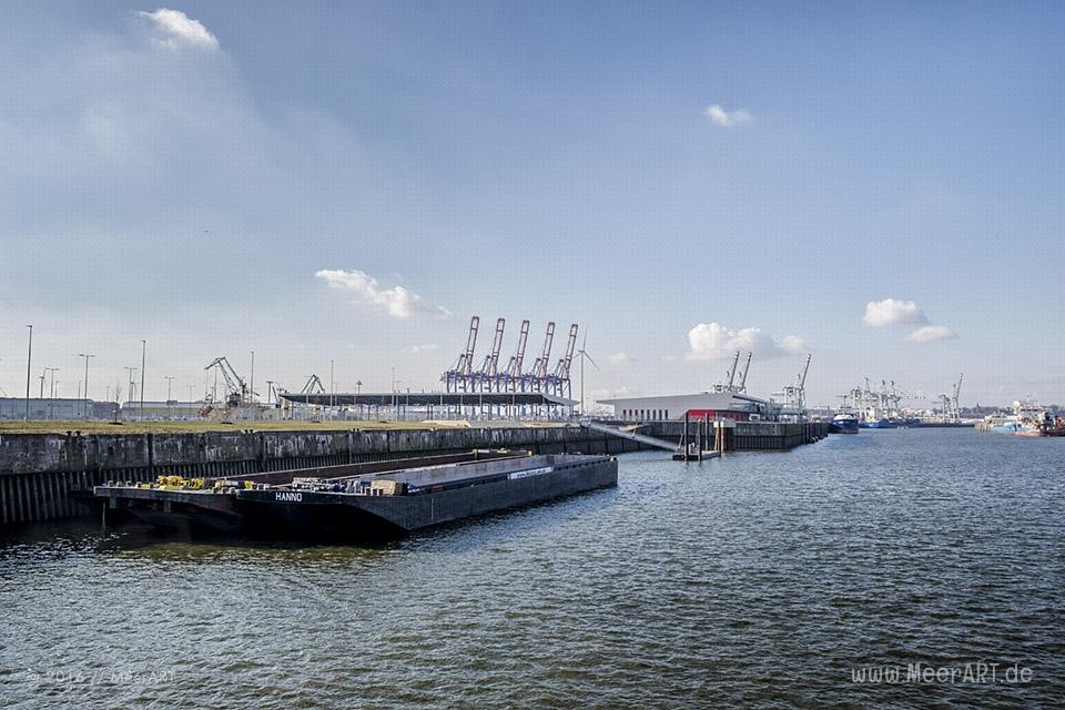 Impressionen aus dem ehemaligen Freihafen in Hamburg // Foto: MeerART