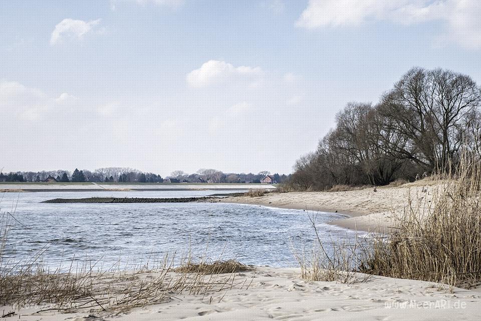 Die Elbe bei der Elbinsel ion Geesthacht // Foto: MeerART