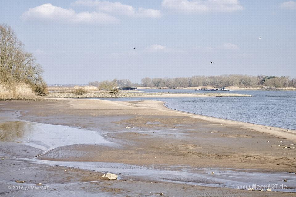 Blick auf die Elbe bei Krauel // Foto: MeerART