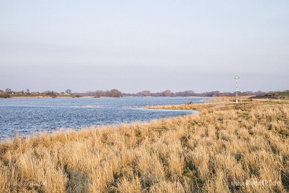Blick auf die Elbe bei Laßrönne // Foto: MeerART