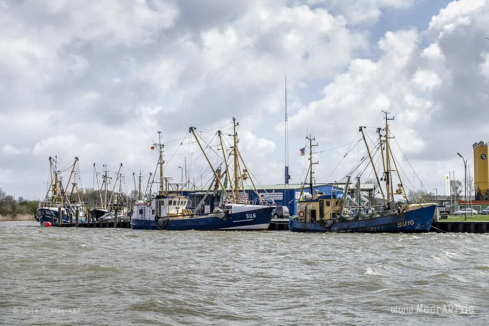 Der Außenhafen von Husum in Nordfriesland // Foto: MeerART