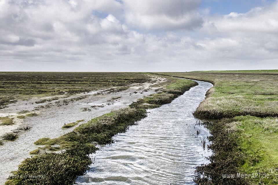 Impressionen von der Hamburger Hallig in Nordfriesland // Foto: MeerART