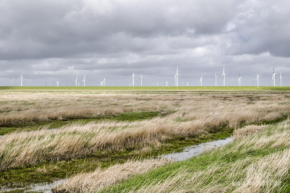 Impressionen von der Hamburger Hallig in Nordfriesland // Foto: MeerART