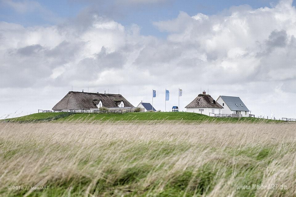 Impressionen von der Hamburger Hallig in Nordfriesland // Foto: MeerART / Ralph Kerpa