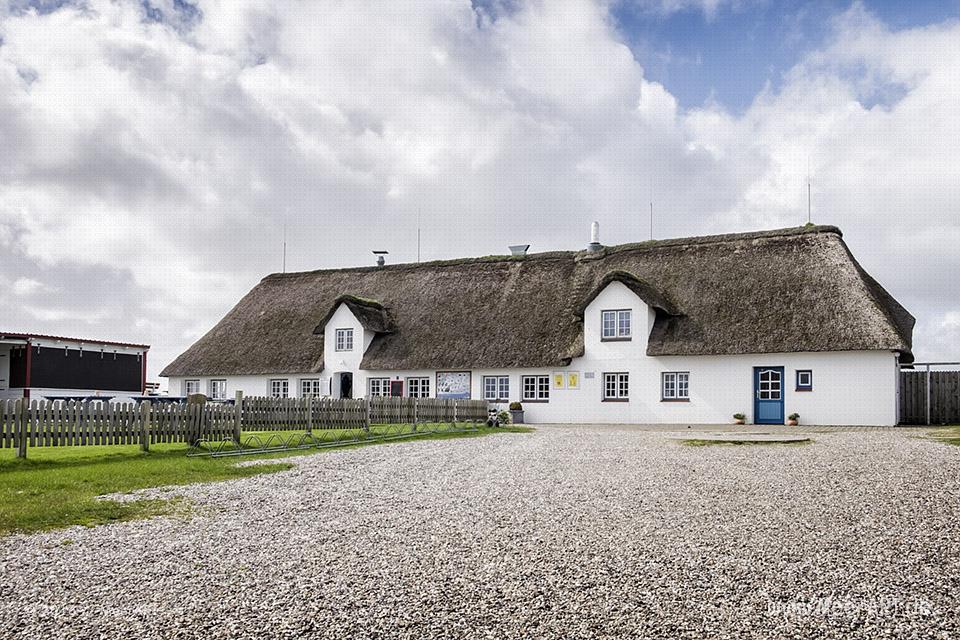 Der Hallig Krog auf der Hamburger Hallig in Nordfriesland // Foto: MeerART