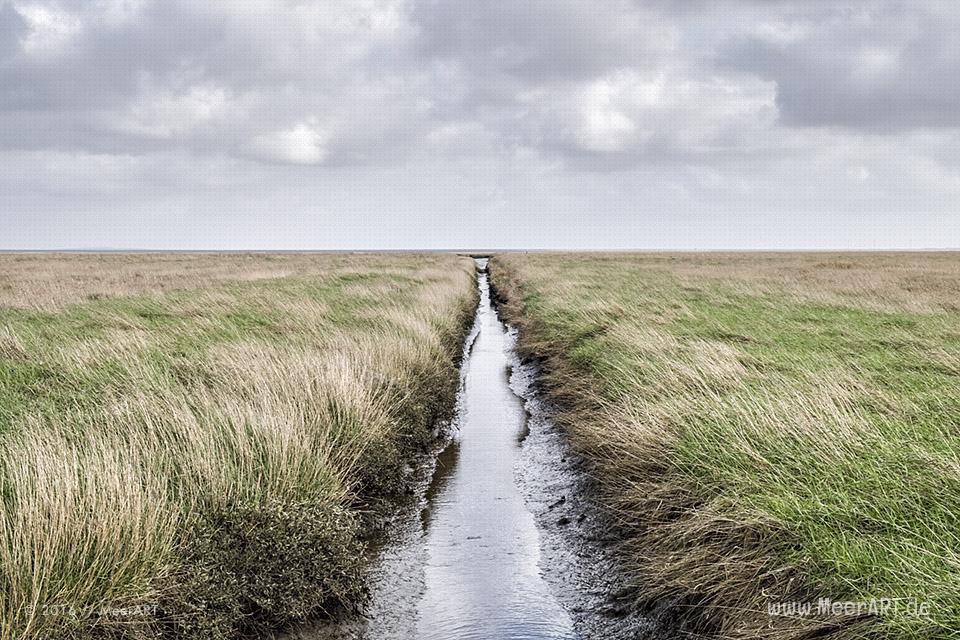 Impressionen von der Hamburger Hallig in Nordfriesland // Foto: MeerART