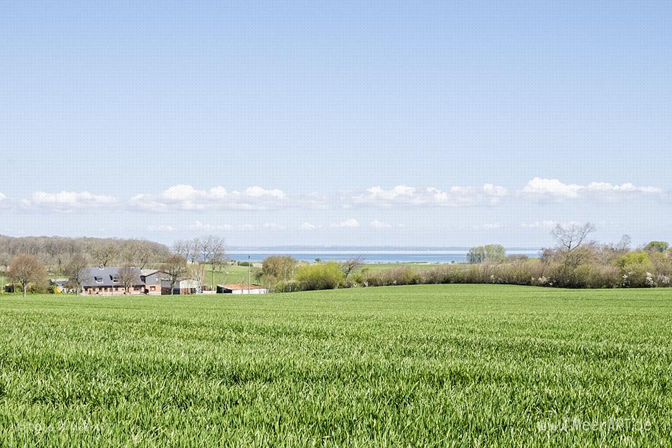 Impressionen von der "Panoramatour" entlang der Ostseeküste bei der Geltinger Bucht // Foto: MeerART