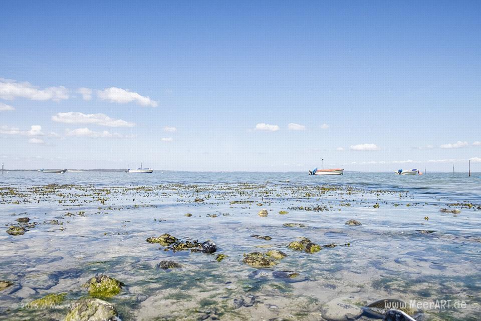 Impressionen von der "Panoramatour" entlang der Ostseeküste bei der Geltinger Bucht // Foto: MeerART