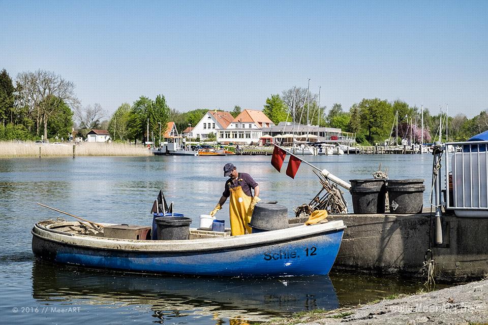 Frühlingsimpressionen aus Missunde an der Schlei // Foto: MeerART