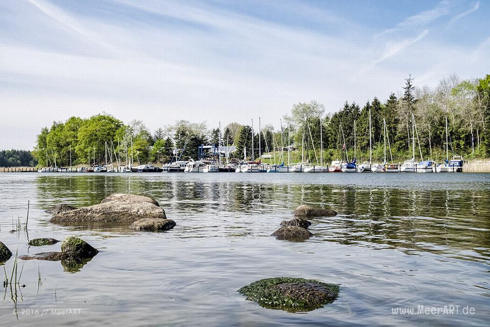 Frühlingsimpressionen aus Missunde an der Schlei // Foto: MeerART