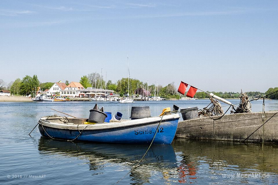 Frühlingsimpressionen aus Missunde an der Schlei // Foto: MeerART