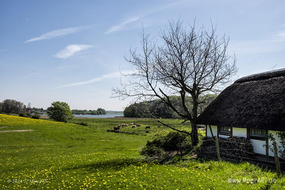 Frühlingsimpressionen von der Schlei // Foto: MeerART