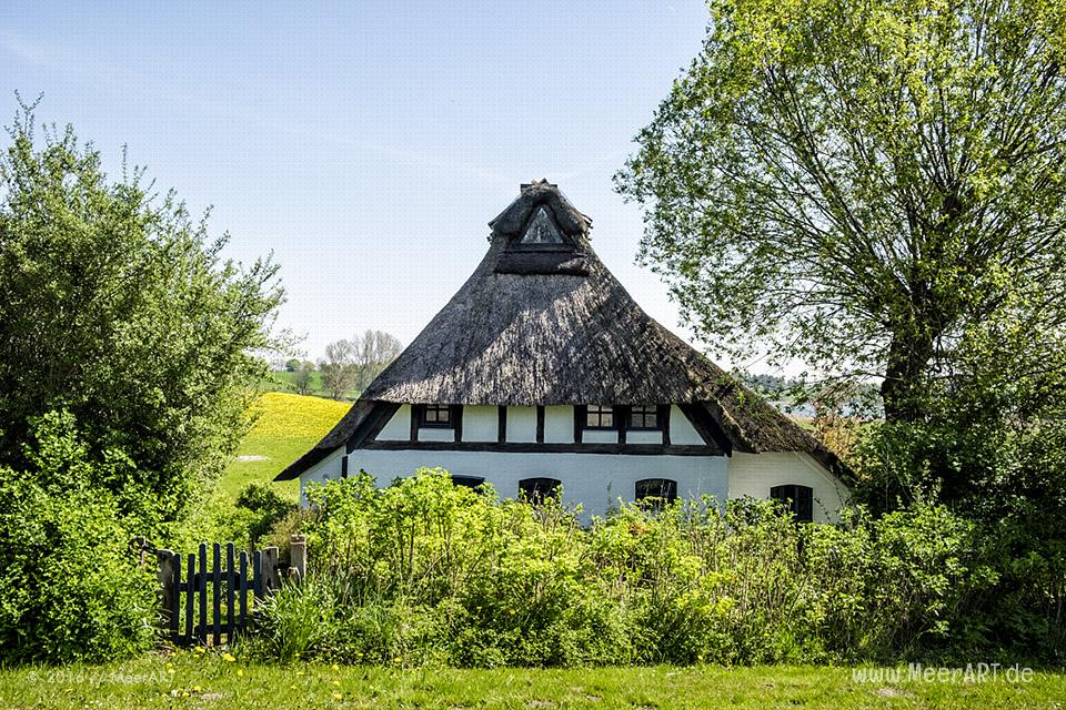 Frühlingsimpressionen von der Schlei // Foto: MeerART