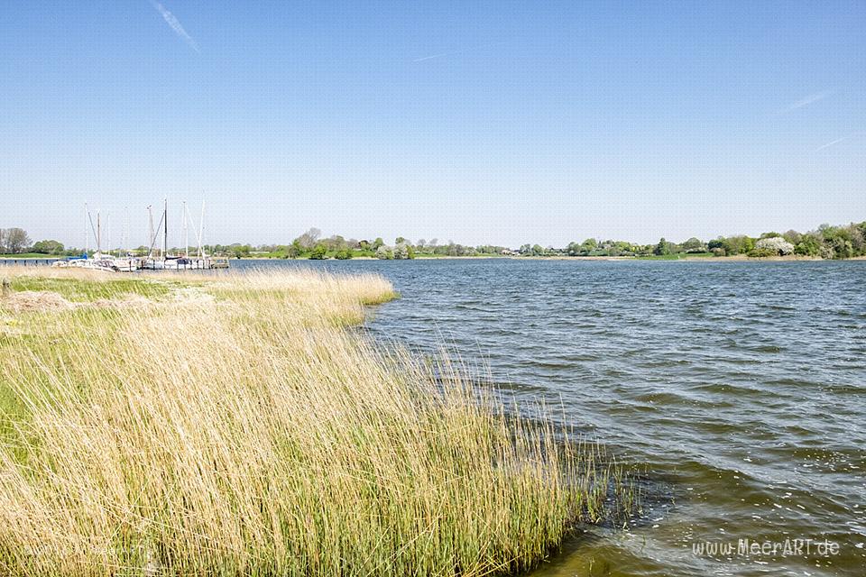 Frühlingsimpressionen von der Schlei // Foto: MeerART