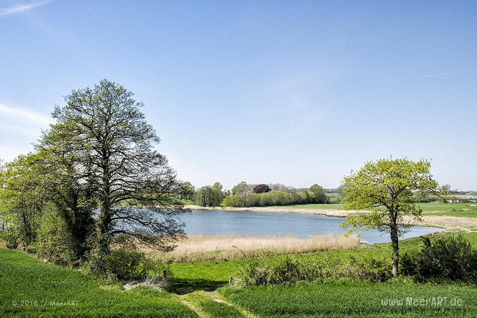 Frühlingsimpressionen von der Schlei // Foto: MeerART