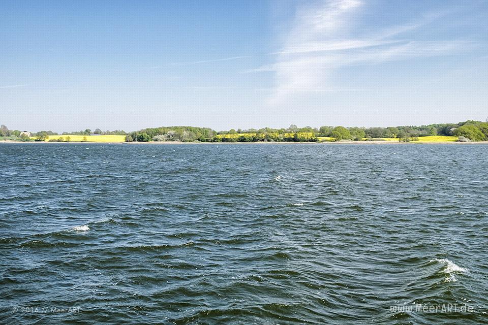 Frühlingsimpressionen von der Schlei // Foto: MeerART