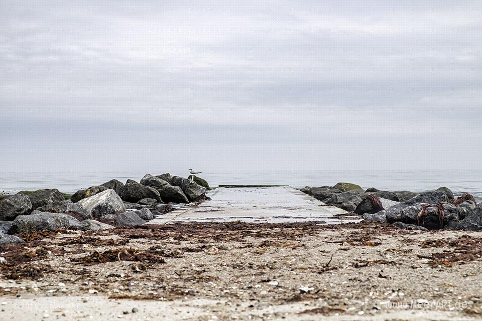 Die Ostseeküste von Kronsgaard bis Ohe-Maasholm // Foto: MeerART